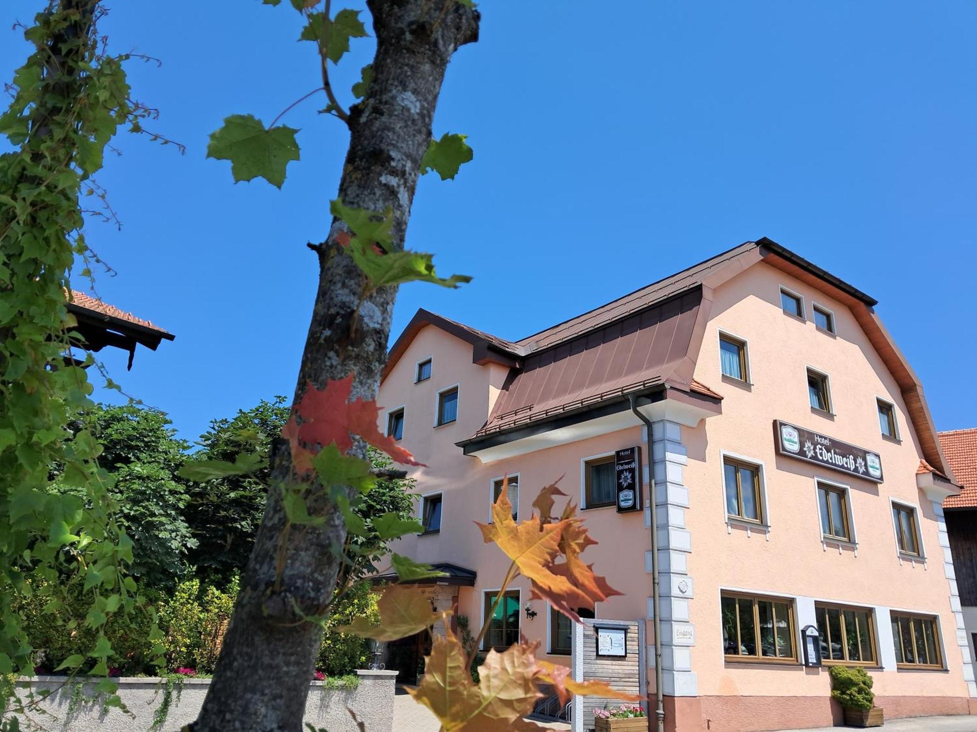 Hotel Garni Edelweiss Siegsdorf Extérieur photo